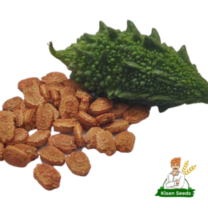 Bitter Gourd