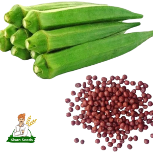 Lady Finger (Okra)