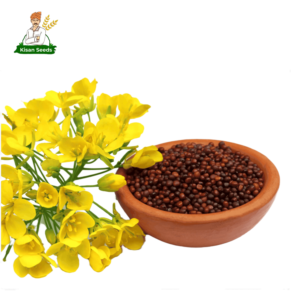 Organic Mustard Seed